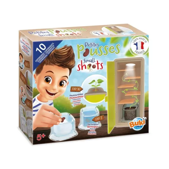 Entdecken Sie das Leben eines Samens Schritt für Schritt wie bei einer Schatzsuche!