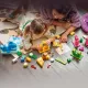 LEGO DUPLO 10472 Spielerisches Tierebauen