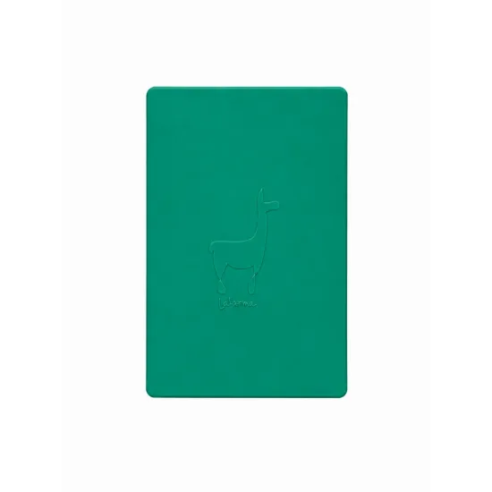 Lightpad Zeichentablet Green