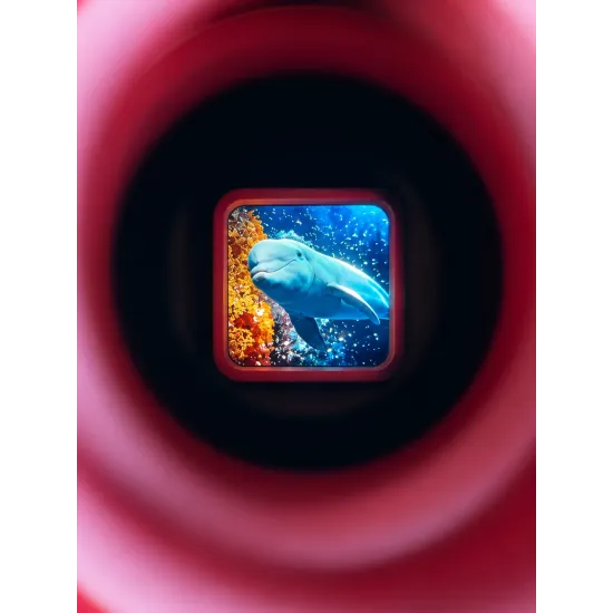 Retro 3D Bildbetrachter Rose