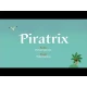Piratrix-Spiel