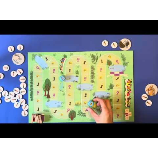 Strategisches Brettspiel Caballo