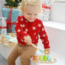 Musikspielzeug-Set "Tierfreunde" für Kinder - Lernspaß & Kreativität