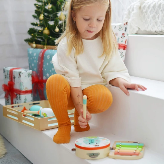 Kinder-Musikset Tiere Tooky Toy