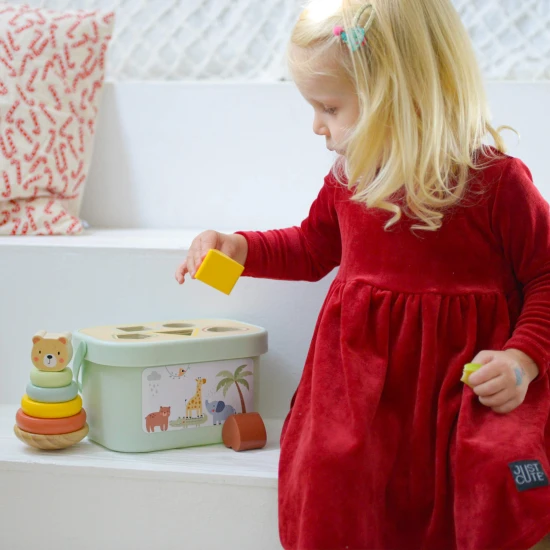 3 in 1 Holzspielzeugset für Kinder