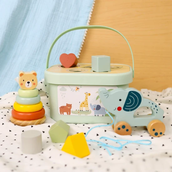 3 in 1 Holzspielzeugset für Kinder