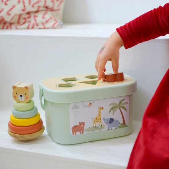 3 in 1 Holzspielzeugset für Kinder