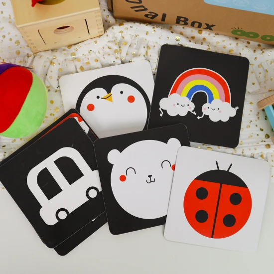 Edukatives Spielzeug-Set für Babys 0-6 Monate, 6-teilig