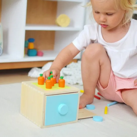 13–18 Monate Lernbox Midi Didaktisches Spielzeug ab 1 Jahr Tooky Toy