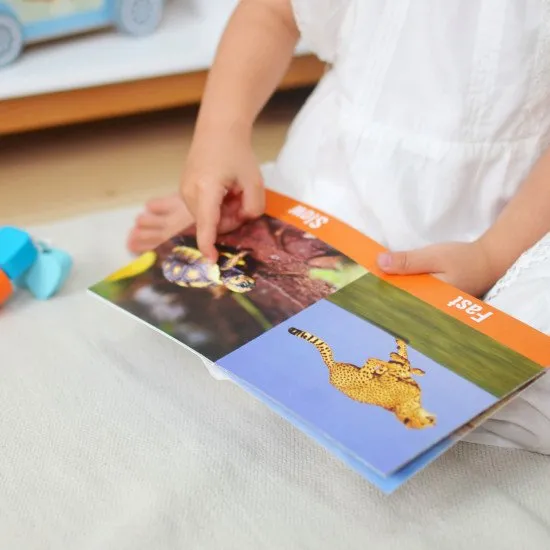 19–24 Monate Lernbox Maxi Lernspielzeug bis 2 Jahre Tooky Toy