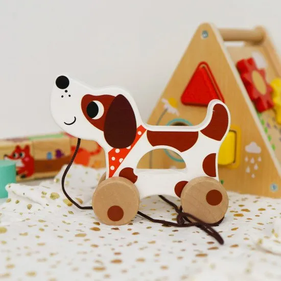 19–24 Monate Lernbox Maxi Lernspielzeug bis 2 Jahre Tooky Toy