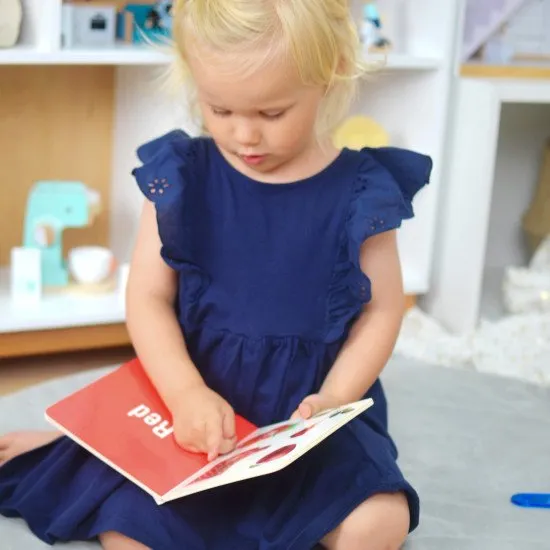 25–36 Monate Lernbox Didaktisches Spielzeug ab 2 Jahren Tooky Toy