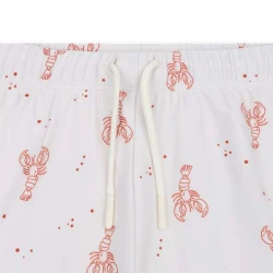 Bademoden-Boxershorts mit UPF 50+ Little Lobster