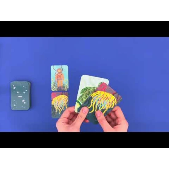 Bazarquatik Djeco Kartenspiel – ein Unterwasser-Strategiespiel für Kinder und Familien ab 6 Jahren.