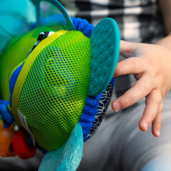 Aktivitätsspielzeug mit C-Ring Schildkröte Neptune’s Sensory Sidekick™ 0M+ Aktivitätsspielzeug mit C-Ring Schildkröte Neptune’s Sensory Sidekick™ 0M+ Baby Einstein 13156-6