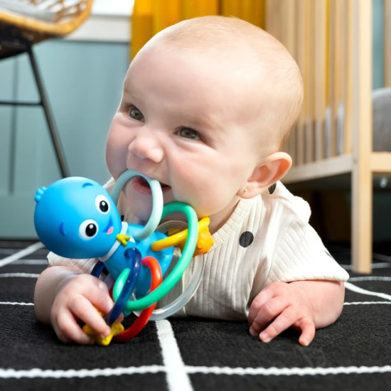 Beißring/Rassel Opus’s Shake & Soothe™ 0M+ Baby Einstein 13157-6