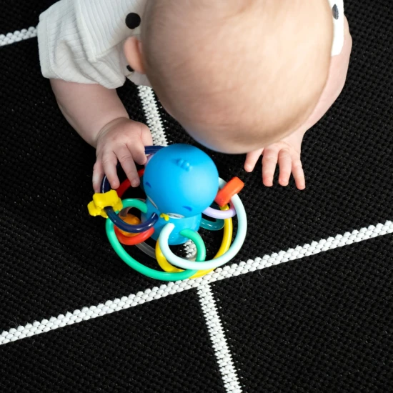 Beißring/Rassel Opus’s Shake & Soothe™ 0M+ Baby Einstein 13157-6