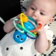 Beißring/Rassel Opus’s Shake & Soothe™ 0M+ Baby Einstein 13157-6