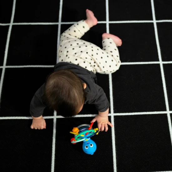 Beißring/Rassel Opus’s Shake & Soothe™ 0M+ Baby Einstein 13157-6