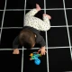 Beißring/Rassel Opus’s Shake & Soothe™ 0M+ Baby Einstein 13157-6