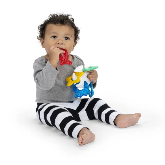 Beißring Ocean Explorers Sea of Sensory™ 3m+ Baby Einstein 13158-6