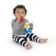 Beißring Ocean Explorers Sea of Sensory™ 3m+ Baby Einstein 13158-6