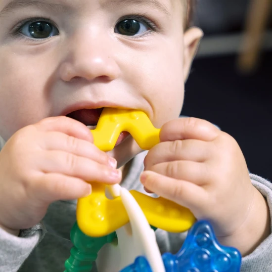 Beißring Ocean Explorers Sea of Sensory™ 3m+ Baby Einstein 13158-6