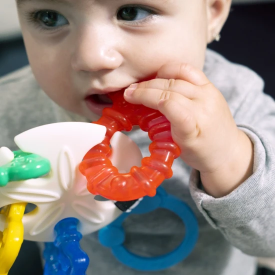 Beißring Ocean Explorers Sea of Sensory™ 3m+ Baby Einstein 13158-6