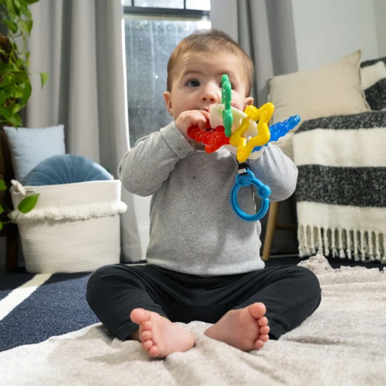 Beißring Ocean Explorers Sea of Sensory™ 3m+ Baby Einstein 13158-6