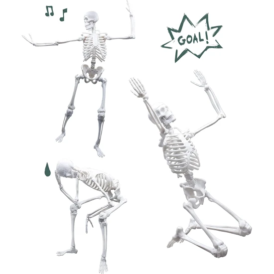 Bauen Sie ein riesiges menschliches Skelett mit einer realistischen Struktur.