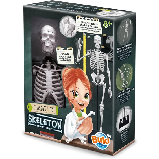 Bauen Sie ein riesiges menschliches Skelett mit einer realistischen Struktur.