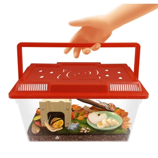 Schneckenhaus aus Holz mit Luftbefeuchter – der ideale Rückzugsort für Gartenschnecken