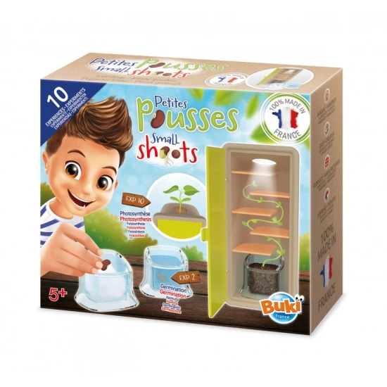 Entdecken Sie das Leben eines Samens Schritt für Schritt wie bei einer Schatzsuche!