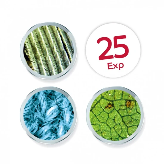 Tragbares Video Mikroskop Buki mit Bildschirm für Kinder