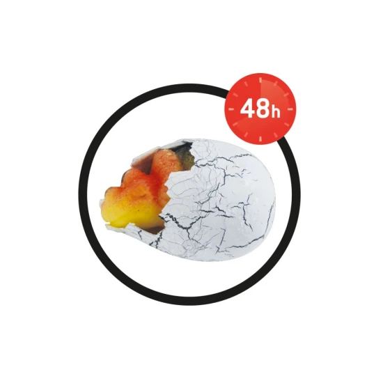 Beobachten Sie, wie der Dinosaurier schlüpft! Ein aufregendes Spielzeug für Dinosaurierliebhaber.