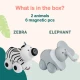 Magnetische Tiere Magicals Wheely Zebra / Elefant