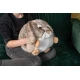 Cozy Noxxiez Wärmendes Plüschkissen 3 in 1 Hase