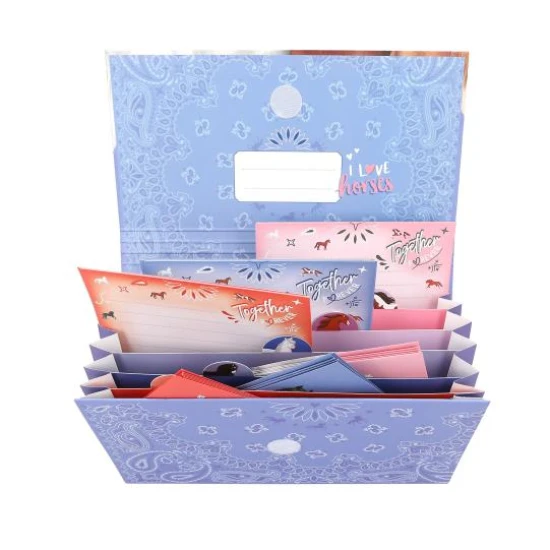 Miss Melody Briefpapier-Set mit Fächermappe Bandana Miss Melody Briefpapier-Set mit Fächermappe Bandana - Depesche DP-12934