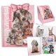 Kreativbuch Zieh mich an TOPModel Cute Animals mit 24 Seiten und 7 Sticker-Bögen
