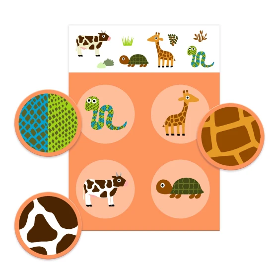 Zuordnungsspiel Feder und Fell