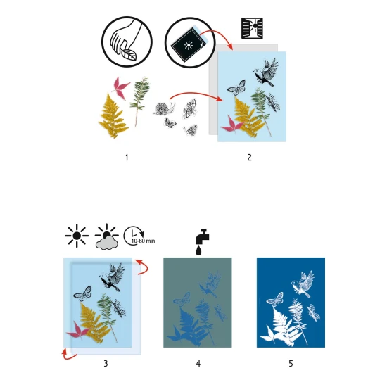 Kreativset Alles für die Herstellung von Cyanotypien