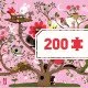 Puzzle Gallery Abracadabra 200 Teile