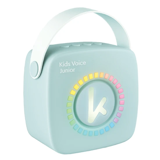 Bluetooth Mini Karaoke Set Mikrofon und Lautsprecher Mint