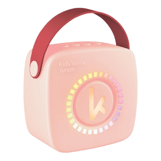 Bluetooth Mini Karaoke Set Mikrofon und Lautsprecher Pink