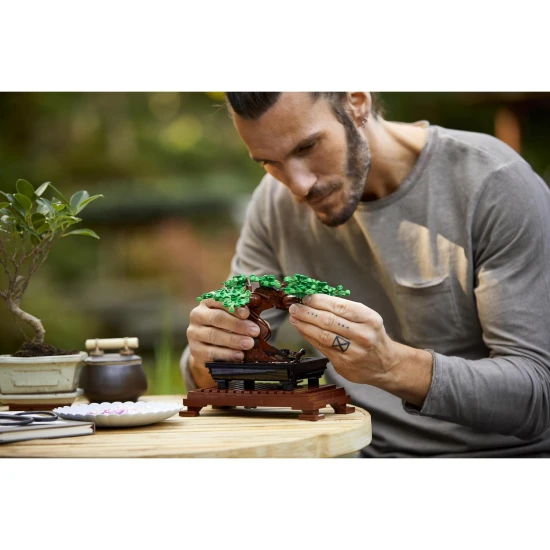 LEGO Botanische Sammlung – Kreativer Bonsai für Erwachsene