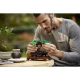 LEGO Botanische Sammlung – Kreativer Bonsai für Erwachsene