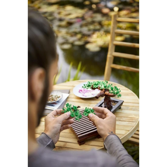 LEGO Botanische Sammlung – Kreativer Bonsai für Erwachsene