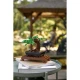 LEGO Botanische Sammlung – Kreativer Bonsai für Erwachsene