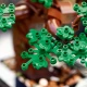 LEGO Botanische Sammlung – Kreativer Bonsai für Erwachsene