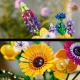 LEGO Botanicals 10313 Wildblumenstrauß LEGO Botanicals 10313 Wildblumenstrauß